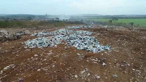 Vultures flying over garbage 動画素材 78929836