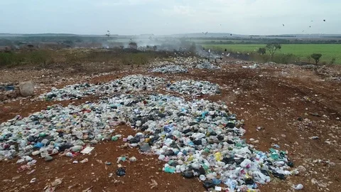 Vultures flying over garbage on a trash deposit 動画素材 78930326
