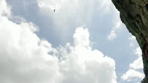 Vultures Stock Footage 12185268