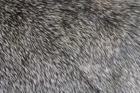 Vur background Stock Photos