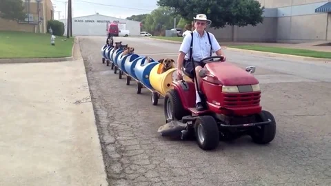 VV1020 All aboard the dog train! Vidéo 129458275