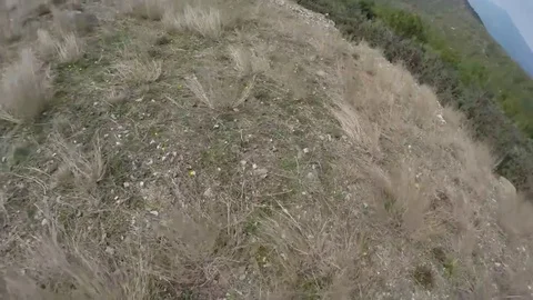 VV1133 Paraglider crashes into tree. Stock-Footage 129454229