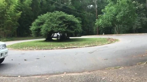 VV1135 Bottle to the face! Stockbeeldmateriaal 129460761