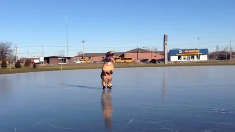VV1160 Ice skating T-Rex Vidéo 129461180