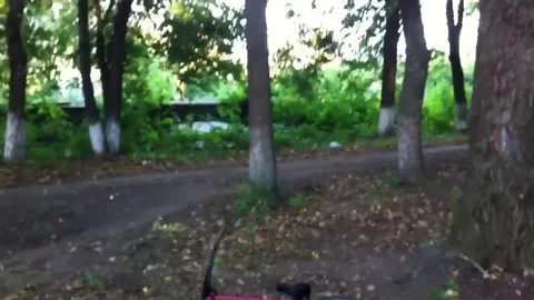 VV1224 Handlebar fail Stock-Footage 129455088