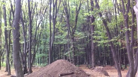 VV1336 BMX front flip fail! 스톡 동영상 129462115