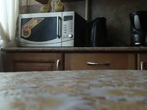 VV1392 Cat opens microwave Vidéo 129459201