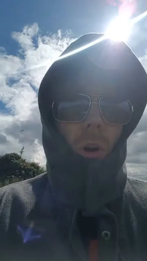 VV1409 Attack of the Seagulls Stock-Footage 129454170