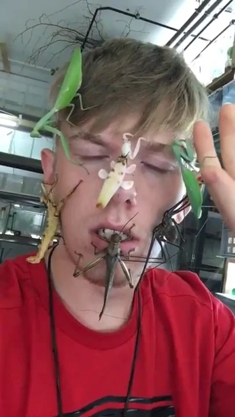 VV1544 Bugs invade guys face Vidéo 129455809