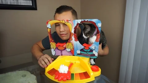 VV1788 Pie face V Cat showdown Stock-Footage 129399229