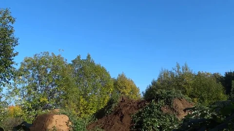 VV1975 Bmx flip goes wrong 库存影片 129456310