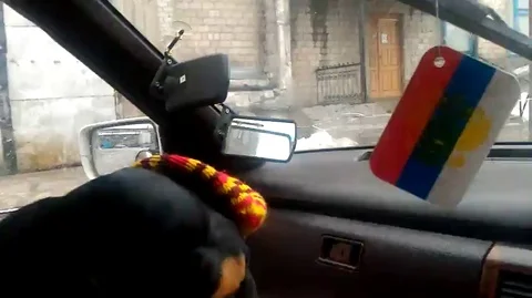 VV2073 - Dog vs Windscreen Wipers 스톡 동영상 129404980