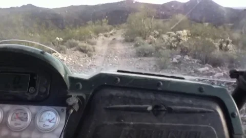 VV209 Cactus attack Stock-Footage 129460590