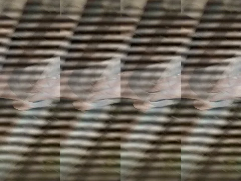 VV2108 Little donkey in a hammock Stock-Footage 129456168