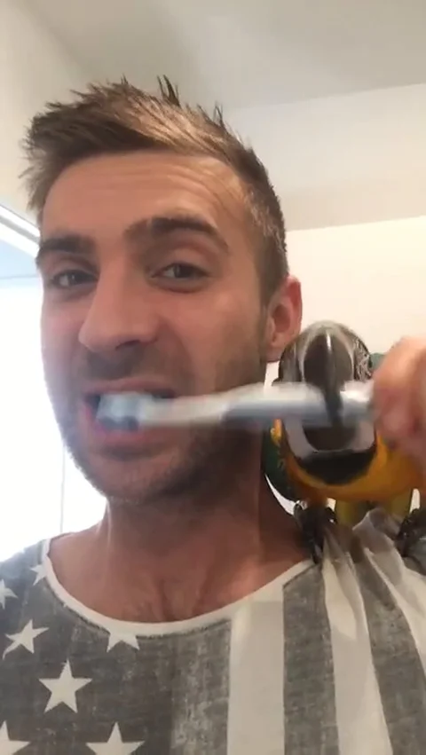 VV2147 Macaw parrot helps guy brush his teeth Stock-Footage 129454931