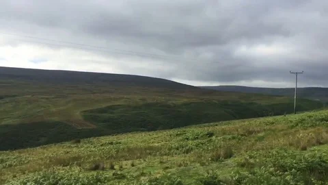 VV2186 Dog performs a handstand across the hills Vidéo 129454182