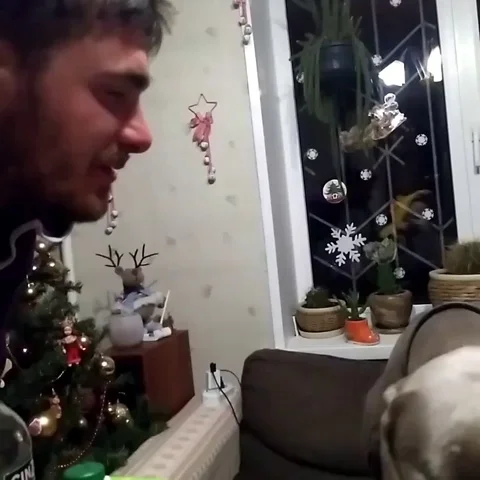 VV2290 Dog licks on command Stock-Footage 129455844