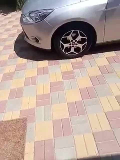 VV2326 Wait for it...... Stock-Footage 129399535