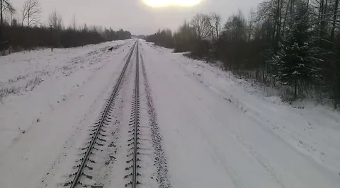 VV2604 Moose dodge train Stock Footage 129456075