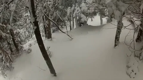 VV271  Skiing over a grouse under the snow Vidéo 129459447