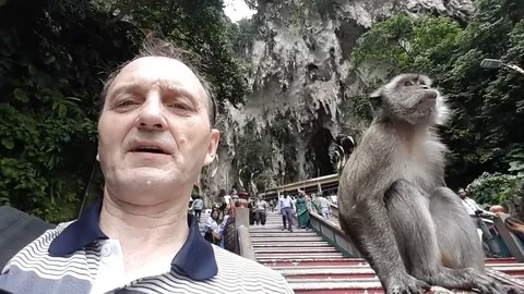 VV2795 Selfie with macaque goes wrong Vidéo 129459905