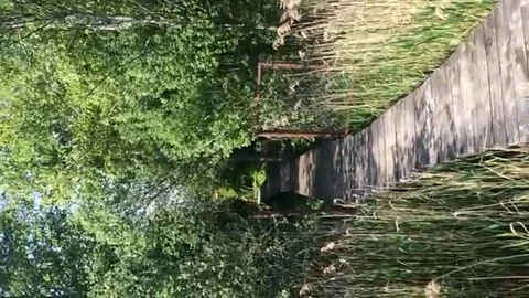 VV2818 Bmx jump into river fail 스톡 동영상 129455875