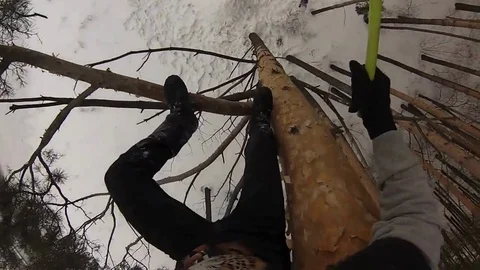 VV2918 15 meter jump from tree 스톡 동영상 129459557