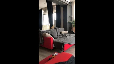 VV2931 Bunny has so much energy Stock-Footage 129459205