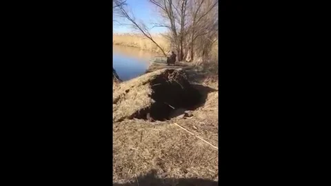 VV2962 Tree goes for a swim Stock-Footage 129459668