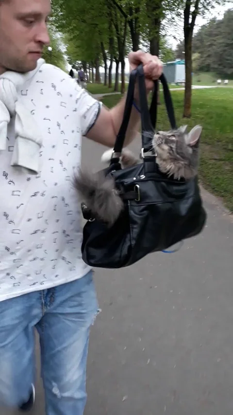 VV3012 Never leave home without your catbag Stock-Footage 129459659