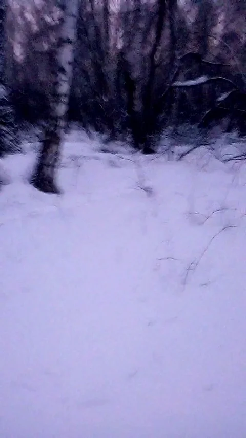 VV3108 White rabbit gets rescued from wire rope 스톡 동영상 129453617