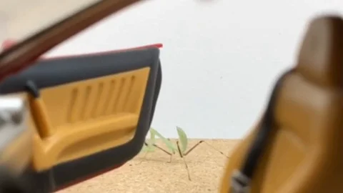 VV3239 Kiki Challenge - Insect Edition Stock-Footage 129454201