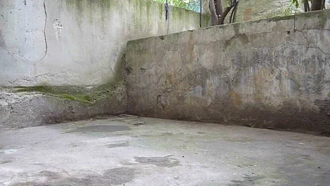 VV3315 Strange but impressive push-ups Vídeo Stock 129829054