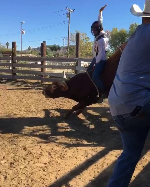 VV3341 Rodeo Time Vídeo Stock 129462021