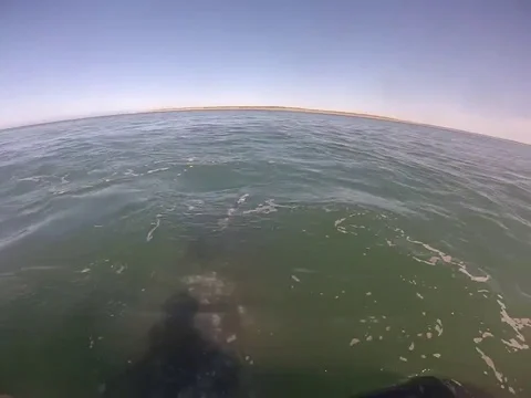 VV344 Friendly whale blows off some steam! Part 2 Stock Footage 129453799
