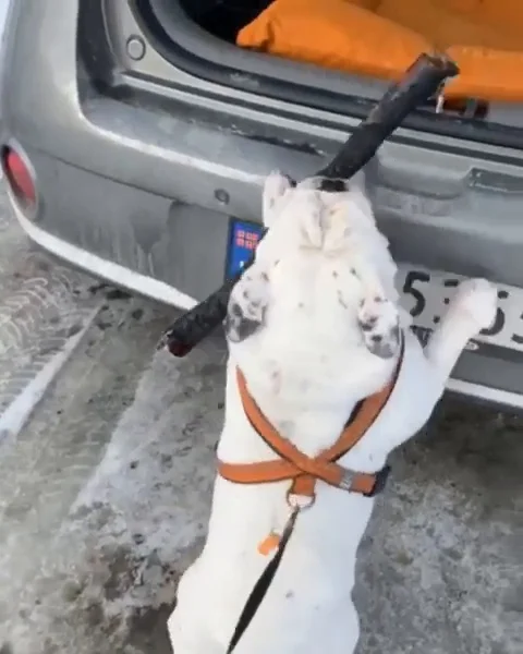 VV3497 When jumping isnt your strength Stock-Footage 129398435