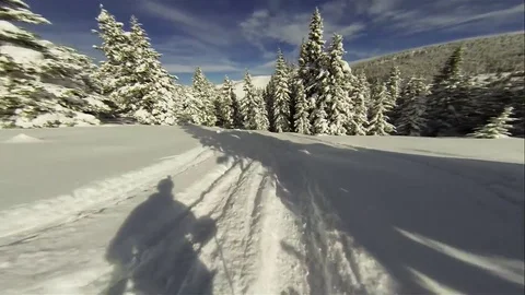 VV424 POV Vail Tree Well Scare Stock-Footage 129402840