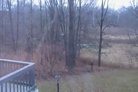 VV57  TREE HITS HOUSE. EPIC Fail! Stock-Footage 129462384