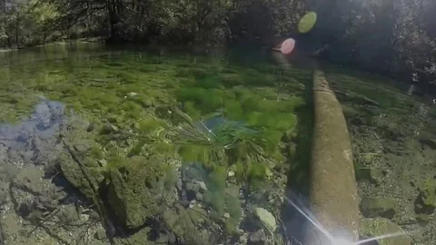 VV689 GoPro captures mini river vortex Vidéo 129827883