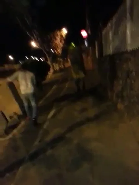 VV775 Guy in box runs into tree. Epic fail! Vídeo Stock 129459143