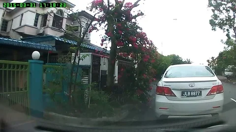 VV846 Tree falls on car! Stock-Footage 129399253