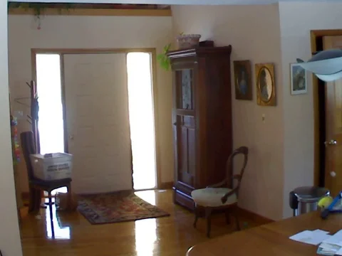 VV851 Kitten gets trapped in box! Vídeo Stock 129458248