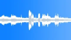 VW Beetle blaring and bavarian crow 01Sound Effect