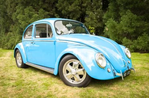 VW Beetle Stock Photos