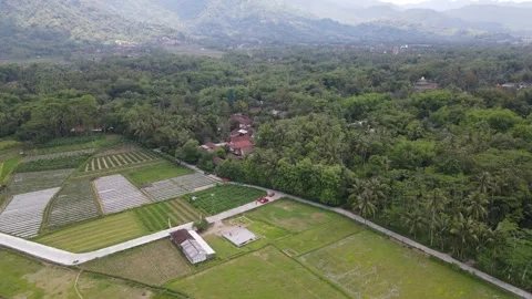 VW Borobudur Magelang Stock Footage 259782882
