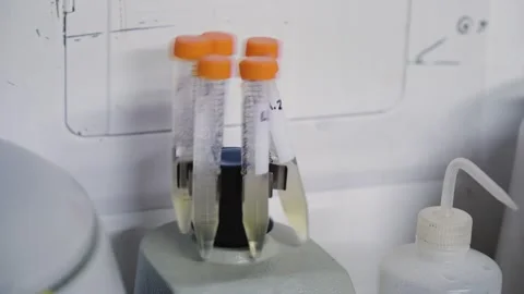 VWR analog vortex mixer vibrates and mixes six orange-capped test tubes of Stock Footage 255759218