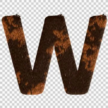 W - Calico fur Stock Illustration