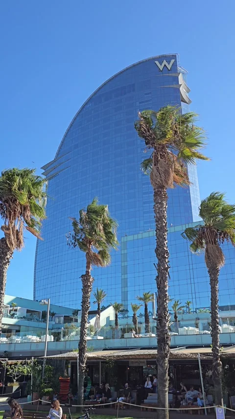 W Hotel and palm trees Barceloneta, Spain Vertical 4K Video stock 348282939