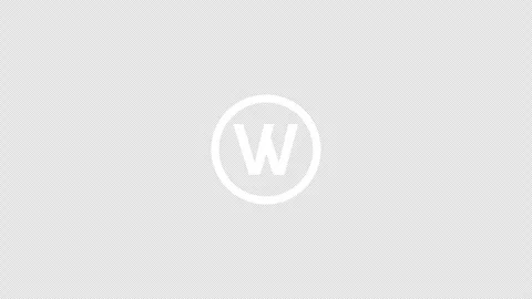 W letter logo loopable rotated animation white transparent alpha background Stock-Footage 307011847