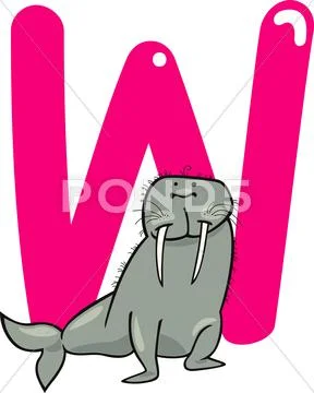 W for walrus Stock Illustration